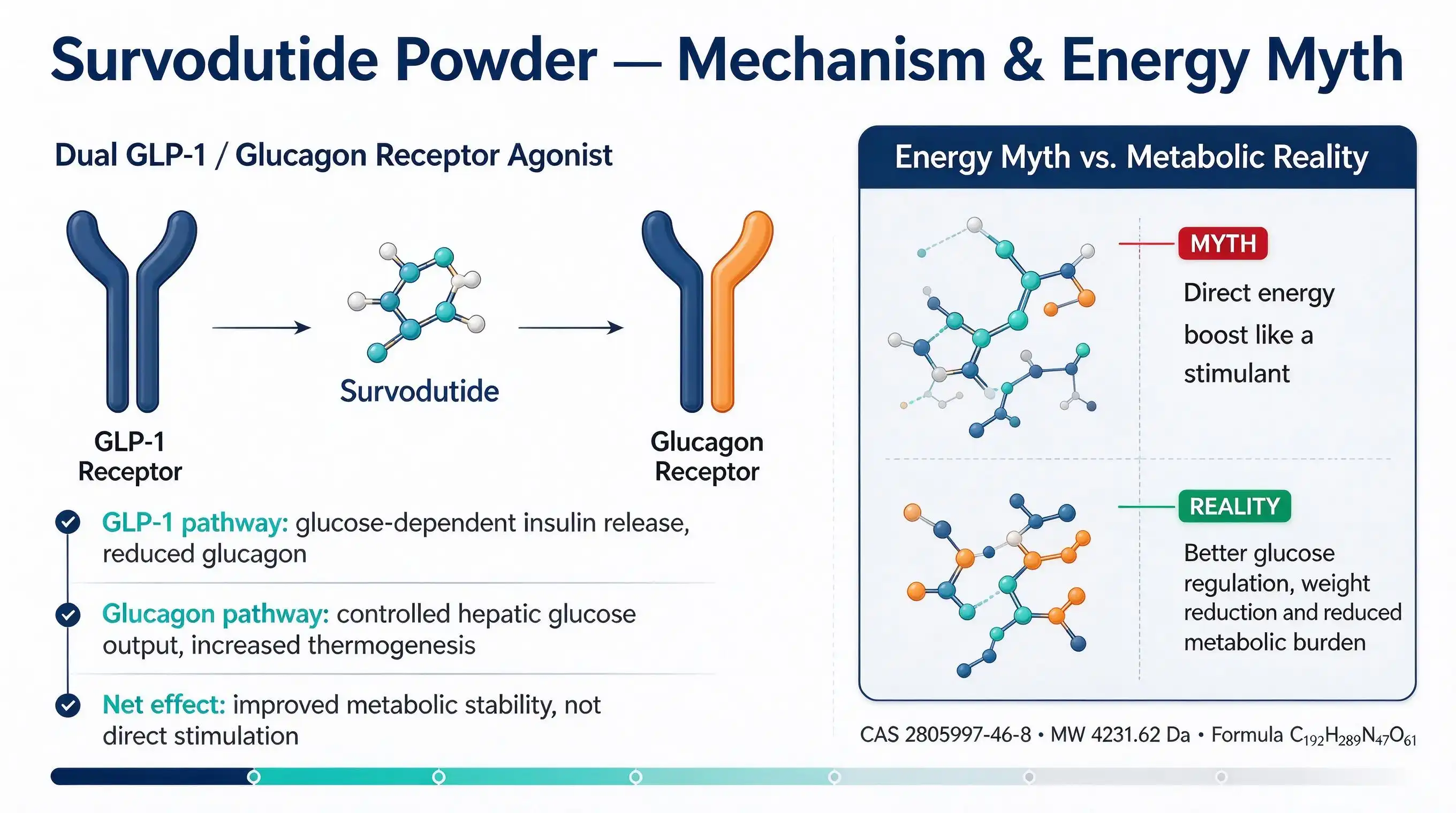 Does survodutide give you energy? Does survodutide give you energy?